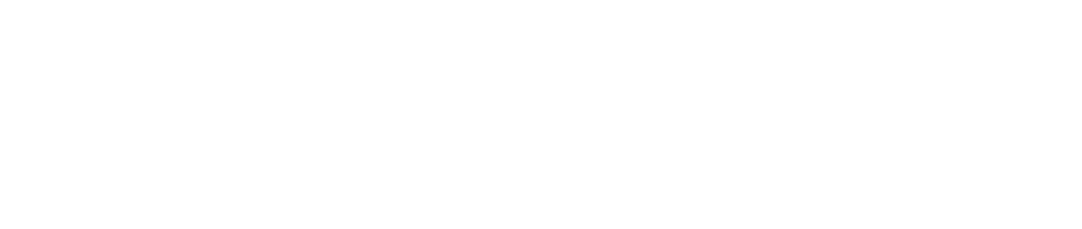 The Millennial Pioneers